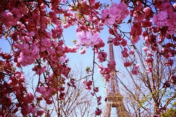 Au pair programme in France